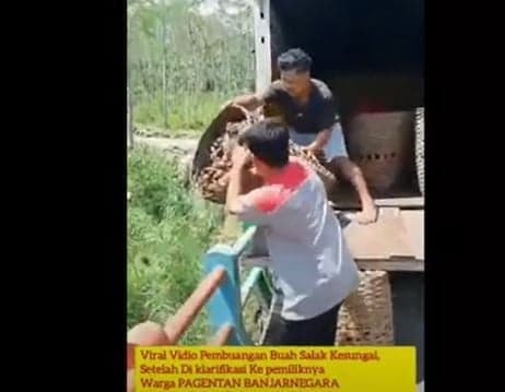 Viral Puluhan Ton Salak Dibuang ke Sungai di Banjarnegara Imbas Harga Anjlok