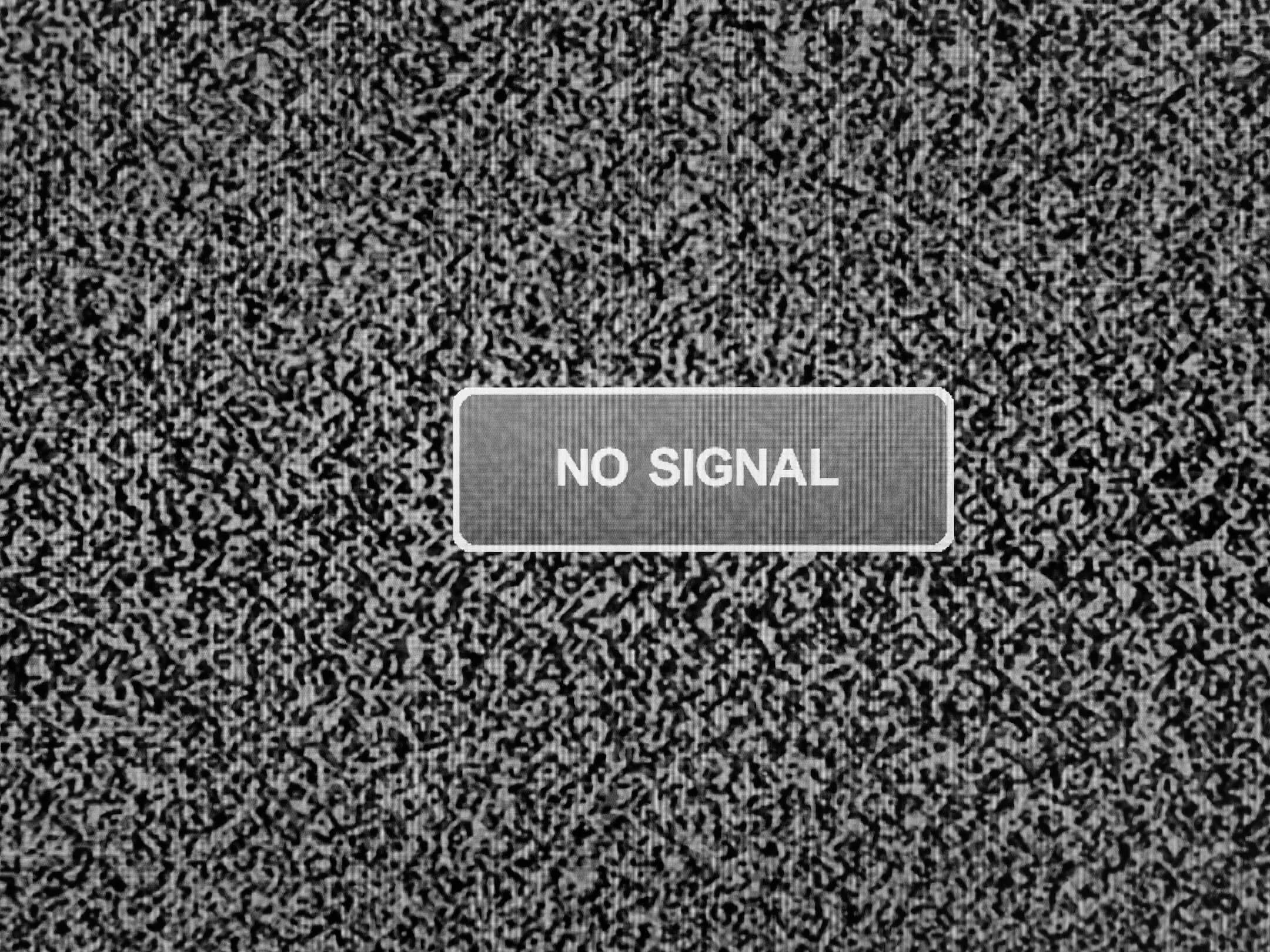 Включи белый шум на станции. Белый шум no Signal. Телевизор экран no Signal. No Signal помехи. No Signal белый шум телевизор.