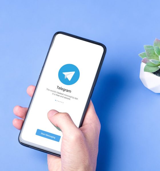 cara mencari film di telegram