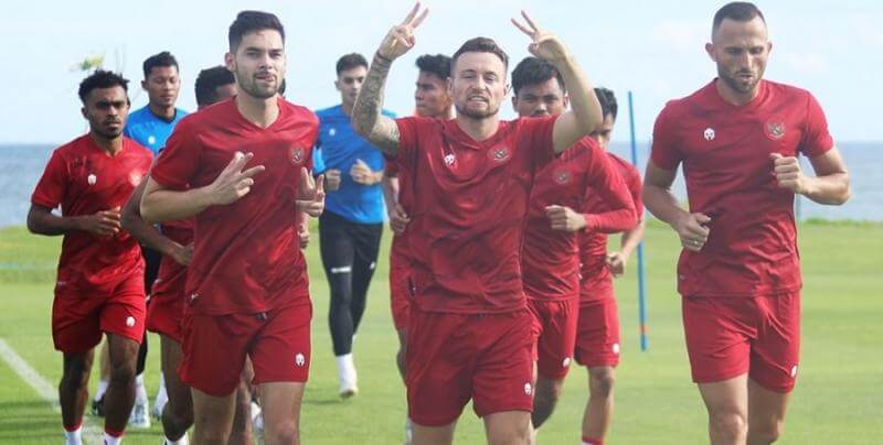 Fakta Juara AFF, Indonesia