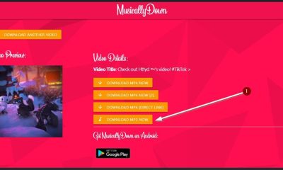 MusicallyDown - MP3 Download Video TikTok No Watermark