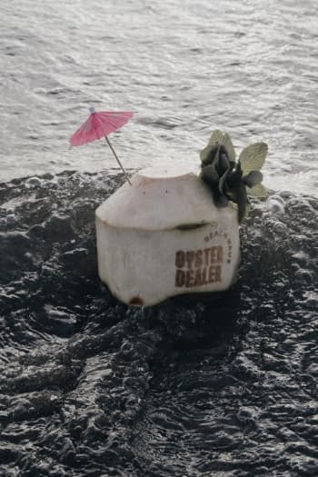 Oyster Dealer Buka Outlet Baru dengan Konsep Beach House di Bali