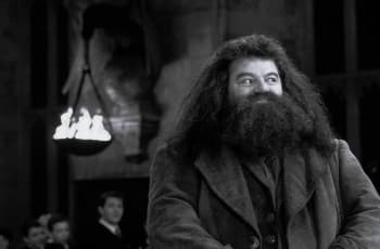 Robbie Coltrane, Pemeran Hagrid di Harry Potter Meninggal Dunia di Usia 72 Tahun