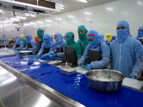 Begini Strategi Dua Putra (DPUM) Dongkrak Kinerja Bisnis