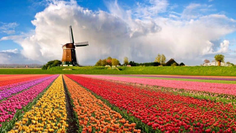 Belanda Puncaki Daftar Negara Teraman untuk Turis