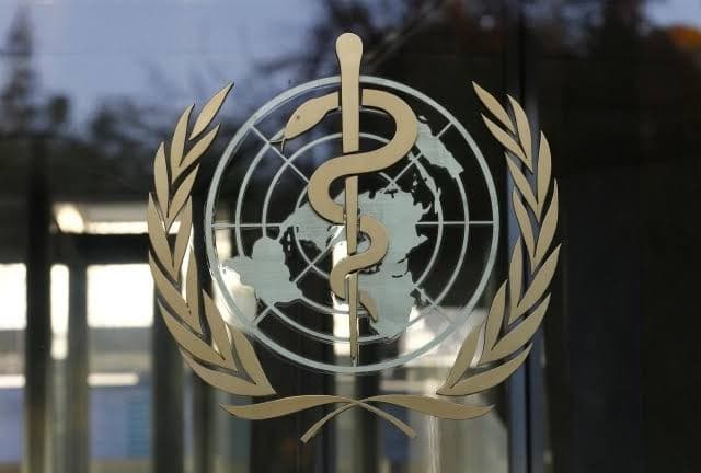WHO Sebut Risiko Penyebaran Hantavirus ke Masyarakat Umum Sangat Kecil