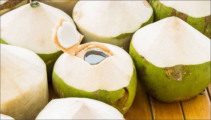 5 Manfaat Buka Puasa dengan Air Kelapa, Ini Kegunaannya bagi Tubuh
