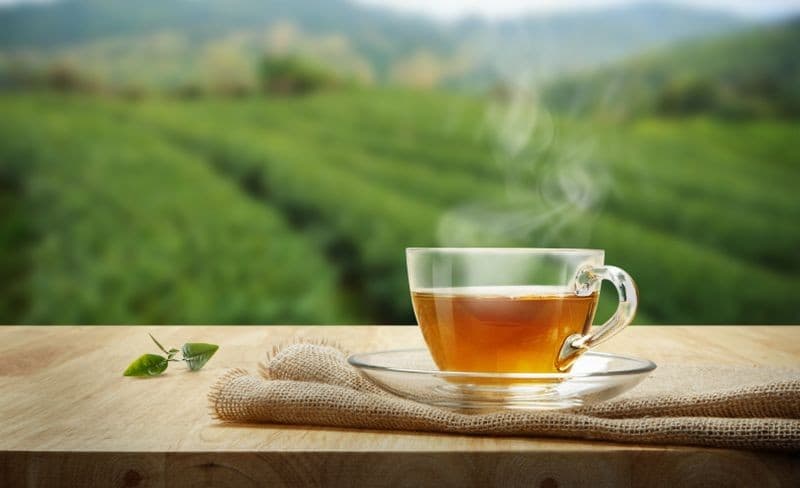 Rekomendasi 6 Jenis Teh untuk Diet, Cocok Diminum selama Ramadan