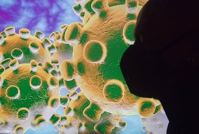 DPR Minta Pemerintah Lakukan Pencegahan Penyebaran Hantavirus di Indonesia