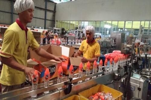 Pembangunan Tiga Pabrik Baru CLEO Tuntas, Ditargetkan Beroperasi 2026