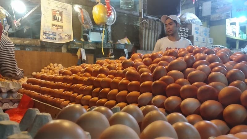 Harga Telur Ayam Ras Mulai Naik di 210 Daerah Jelang Lebaran 