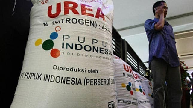 Australia Beli 250.000 Ton Pupuk Urea dari Indonesia