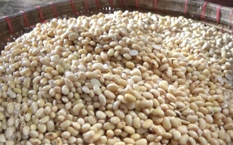 Harga Kedelai Terkendali, Distributor dan Importir Wajib Patuhi Harga Acuan