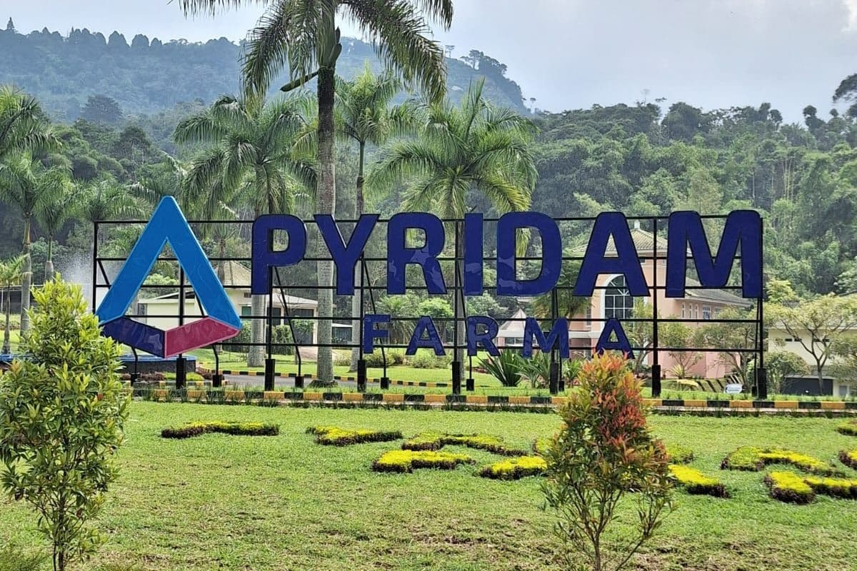 Tumbuh 43,7 Persen, Pyridam Farma (PYFA) Kantongi Penjualan Rp2,76 Triliun di 2025