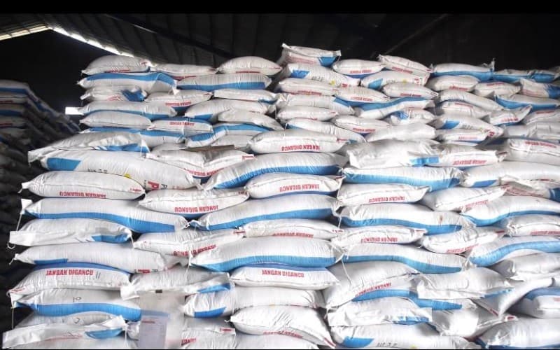 Hari Terakhir Pemutakhiran e-RDKK, Petani Diminta Tak Lewatkan Kesempatan Dapat Pupuk Subsidi