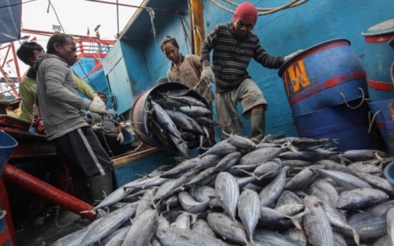 Pacu Ekspor ke Arab Saudi, KKP Tambah Enam Unit Pengolahan Ikan