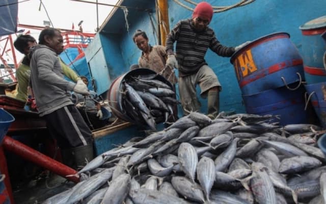 Ramadan 2026, KKP Ungkap Harga Komoditas Hasil Laut Relatif Stabil