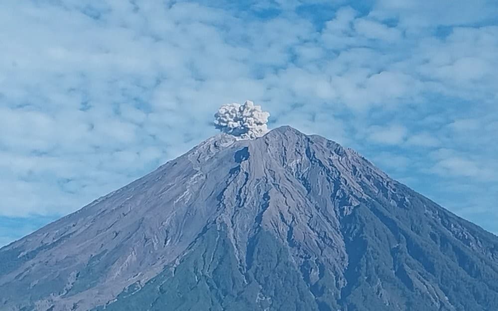 Semeru Erupsi, Muntahkan Abu Vulkanik Setinggi 600 Meter dari Atas Puncak
