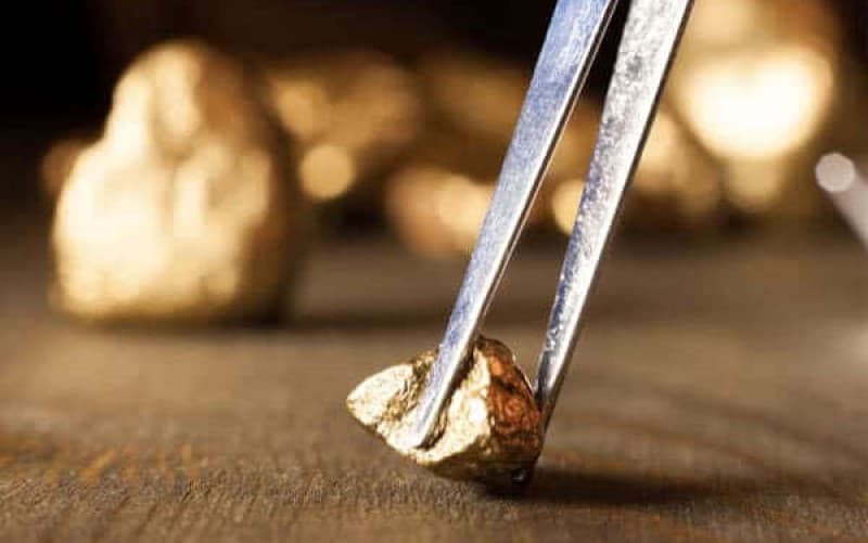 Archi (ARCI) Siap Bagikan Sisa Dividen Rp20,69 per Saham, Ini Jadwalnya