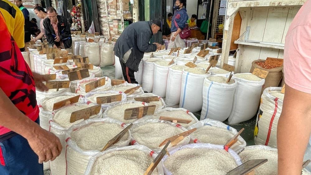 Bapanas Sebut Stok Beras Nasional Tembus 12,5 Juta Ton di 2026