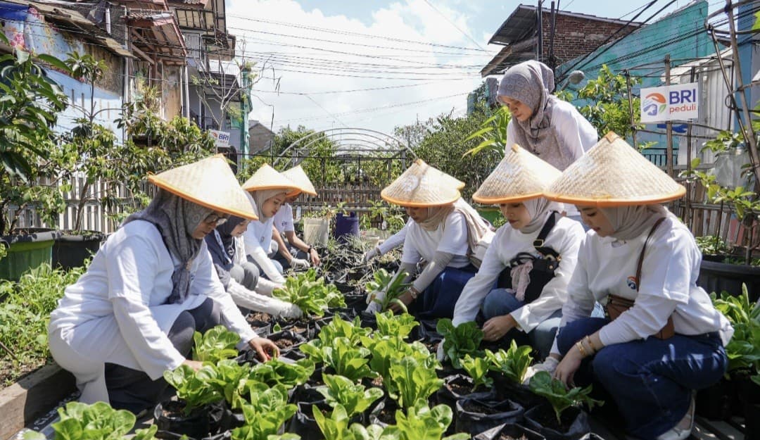 BRI Peduli Tegaskan Komitmen Dukung Ketahanan Pangan Melalui Panen Raya BRInita