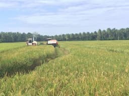Pemerintah Bakal Kasih Modal Tanah untuk Orang Miskin