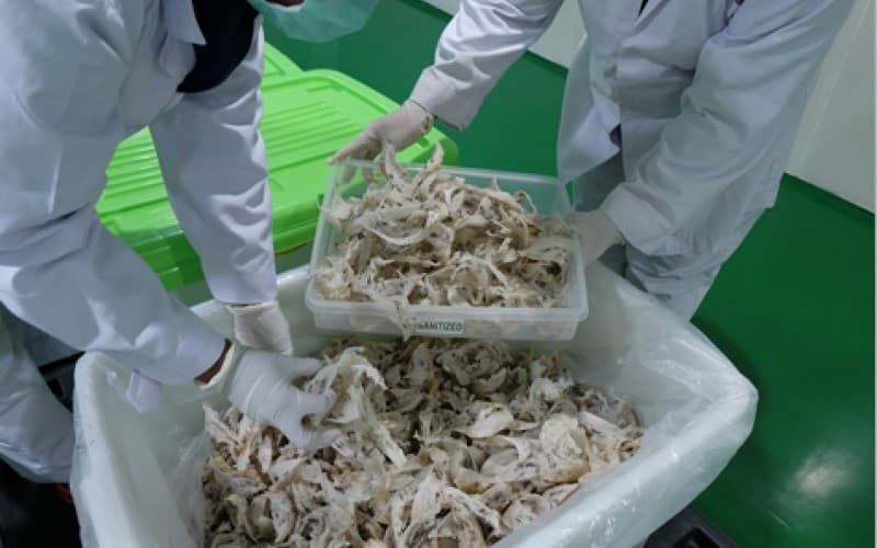 RLCO Tetapkan Harga IPO di Batas Atas, Besok Batas Akhir Pemesanan