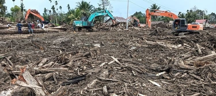 Kemenhut Lanjutkan Penanganan Pascabencana di Aceh dan Sumatera Utara