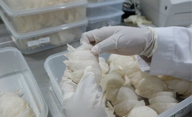 RLCO Bentuk Anak Usaha Baru, Pisahkan Bisnis Walet dan Produk Nutrisi Laut