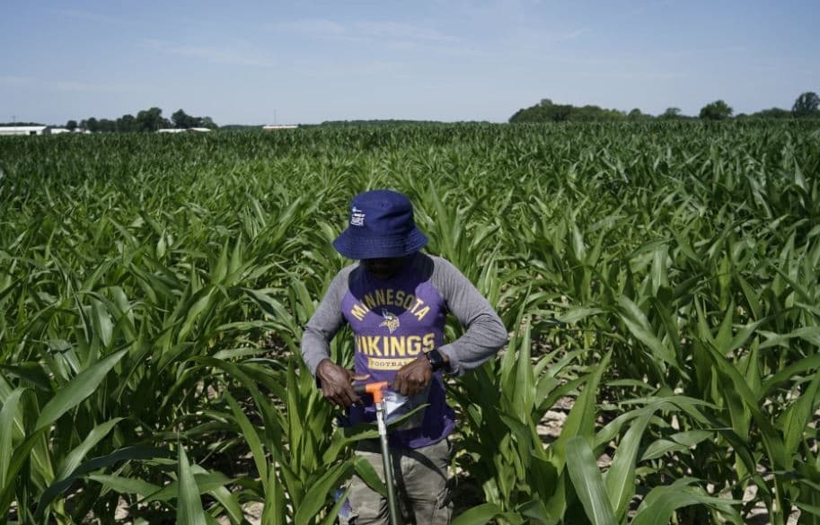 Penuhi Bahan Baku Industri, Indonesia Incar Komoditi Pertanian AS Senilai USD4,5 Miliar