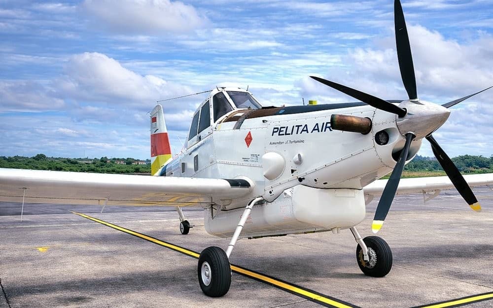 Pilot Pesawat Pelita Air yang Jatuh di Nunukan Kaltara Meninggal Dunia 