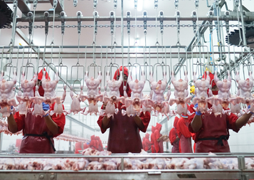 Siapa Pemilik Saham WMUU? Peternakan Unggas Terintegrasi, Inilah Sosok Pemiliknya