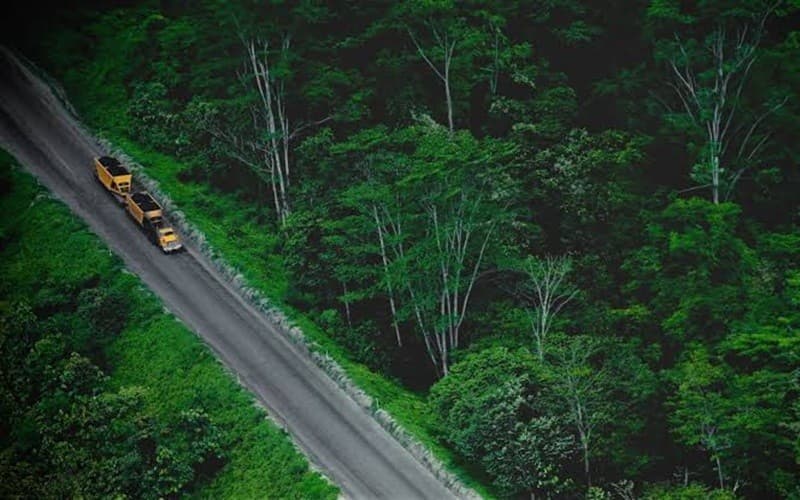 Indika Energy (INDY) Raup Laba Bersih Rp101 Miliar pada 2025, Turun 38 Persen