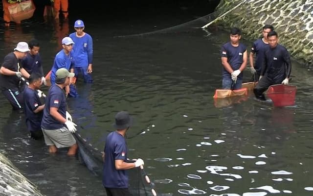 BRIN Ungkap Logam Berat pada Ikan Sapu-Sapu Tidak Akan Hilang Meskipun Dimasak