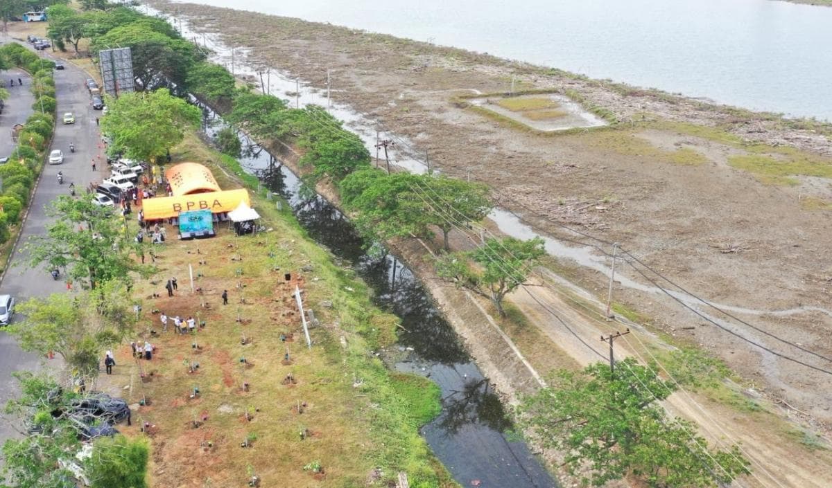 Mitigasi Bencana, BNPB Tanam 2.257 Bibit Pohon di Beberapa Wilayah Aceh