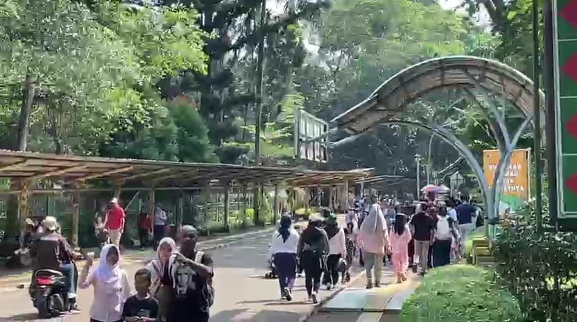 Libur Panjang, Pengunjung Ragunan Diprediksi Tembus 100 Ribu Orang
