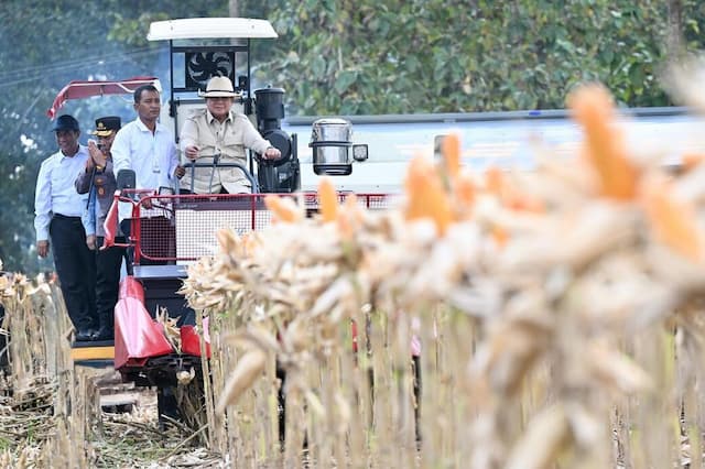 Hadiri Panen Raya Jagung Serentak, Prabowo Kendarai Traktor Corn Harvester