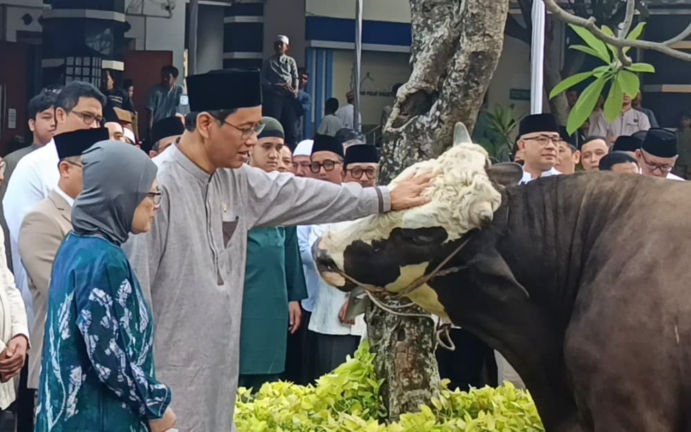Cerita Purbaya Beli Sapi Kurban Seberat 868 Kilogram Pakai Uang Bonus dan Dana Pembatalan Haji 