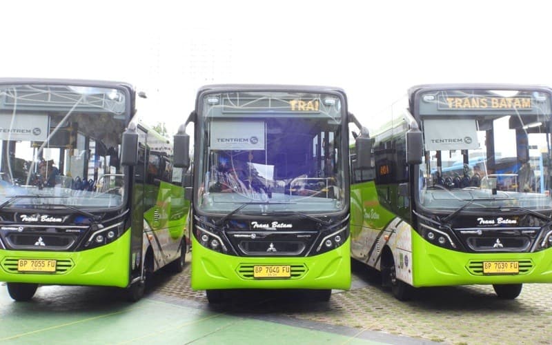 Trans Batam Tambah Bus Jadi 52 Unit, Layani 5 Koridor Strategis