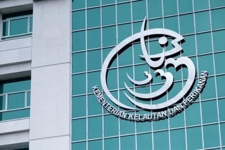 KKP Tangani 25 Kejadian Mamalia Terdampar di Timur RI, Jenis Paus Mendominasi