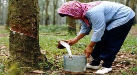 Indonesia Ajak Negara-Negara Produsen Karet Alam Tingkatkan Kerja Sama