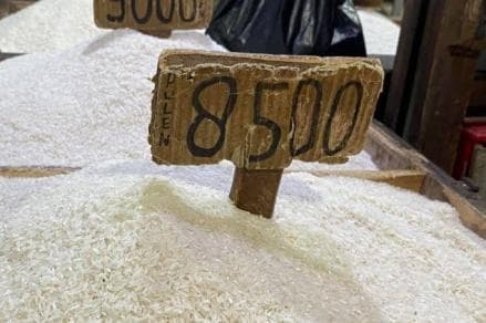 Harga Beras Mahal, Bos ID FOOD Temui Pengusaha Penggilingan Padi