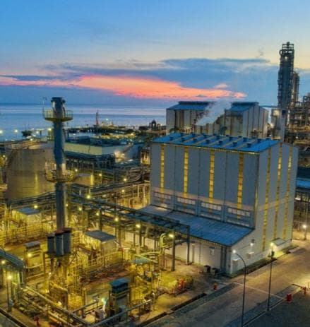 Surya Esa (ESSA) Private Placement untuk Beli Saham Perusahaan Boy Thohir