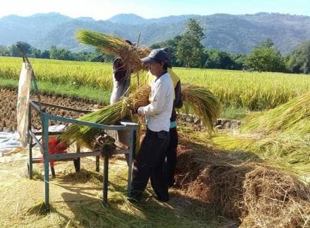 5 Kerja Sampingan untuk Petani, Termasuk Dropship Produk Pertanian