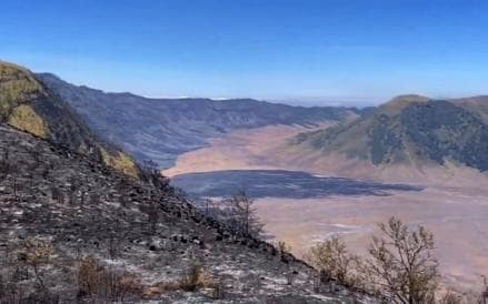 Foto Prewedding Jadi Penyebab Kebakaran di Gunung Bromo, Cek Aturannya