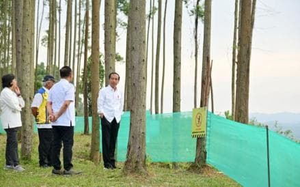 Jokowi Minta Setiap Bulan Lakukan Groundbreaking untuk Berbagai Proyek di IKN