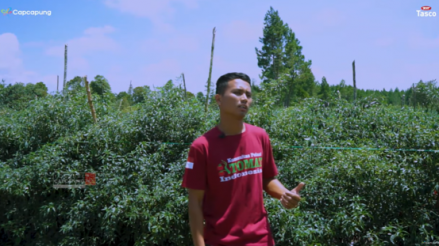 Kisah Sukses Petani Muda: Usia 23 tahun Mampu Beli Lahan, Manfaatkan TikTok untuk Jual Bibit