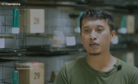 Kisah Sukses Pengusaha yang Selamat dari Tumpukan Utang Berkat Usaha Burung Finch