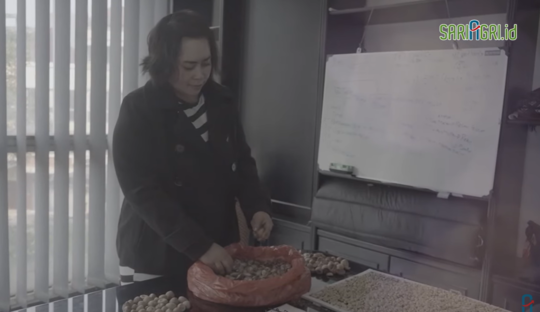 Cerita Sukses Eksportir Rempah, Ekspor Pinang hingga Raup Penjualan Miliaran Rupiah Cerita Sukses Eksportir Rempah, Ekspor Pinang hingga Raup Penjualan Miliaran Rupiah