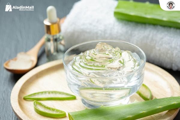 Manfaat Lidah Buaya untuk Wajah, Ampuh Sembuhkan Luka Bakar dan Bekas Jerawat